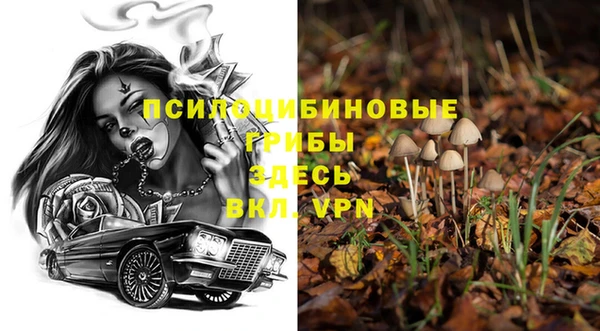 ГАЛЛЮЦИНОГЕННЫЕ ГРИБЫ Вязьма