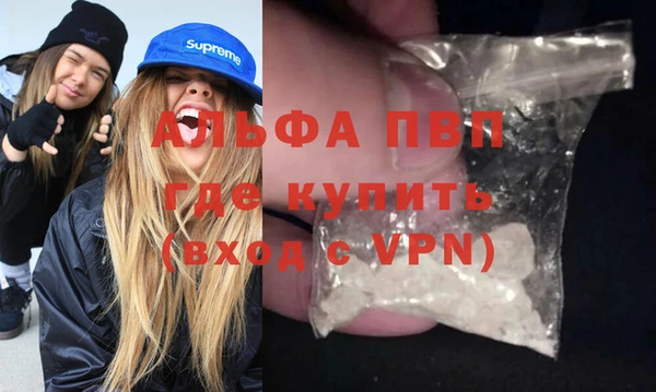 стафф Осинники